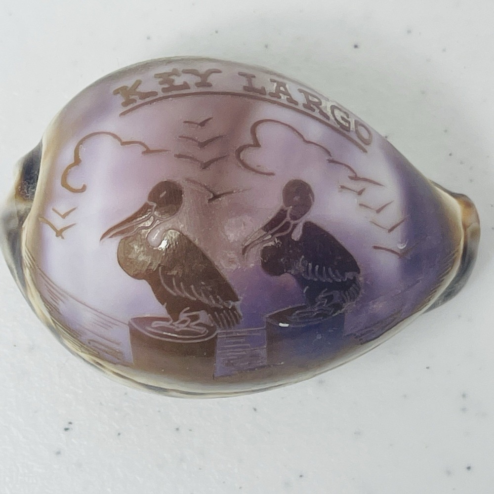 Vintage Seal Key Largo Souvenir Carved Tiger Cowrie Shell - Picture 9 of 12